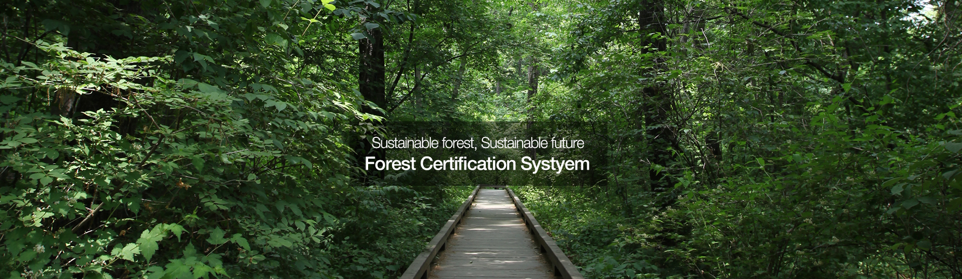 지속가능한 산림, 지속가능한 미래 산림인증제도